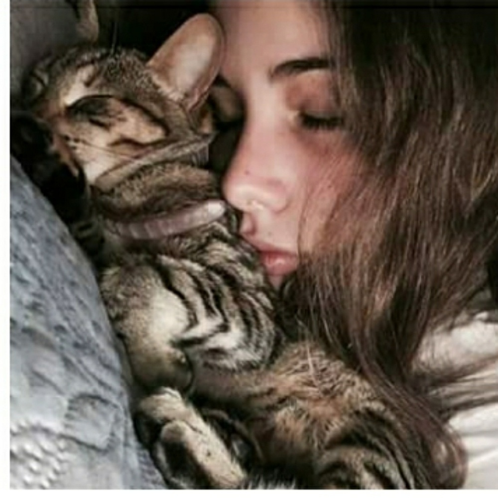 Meet your Posher, Schenequa